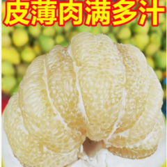 东方水晶柚
